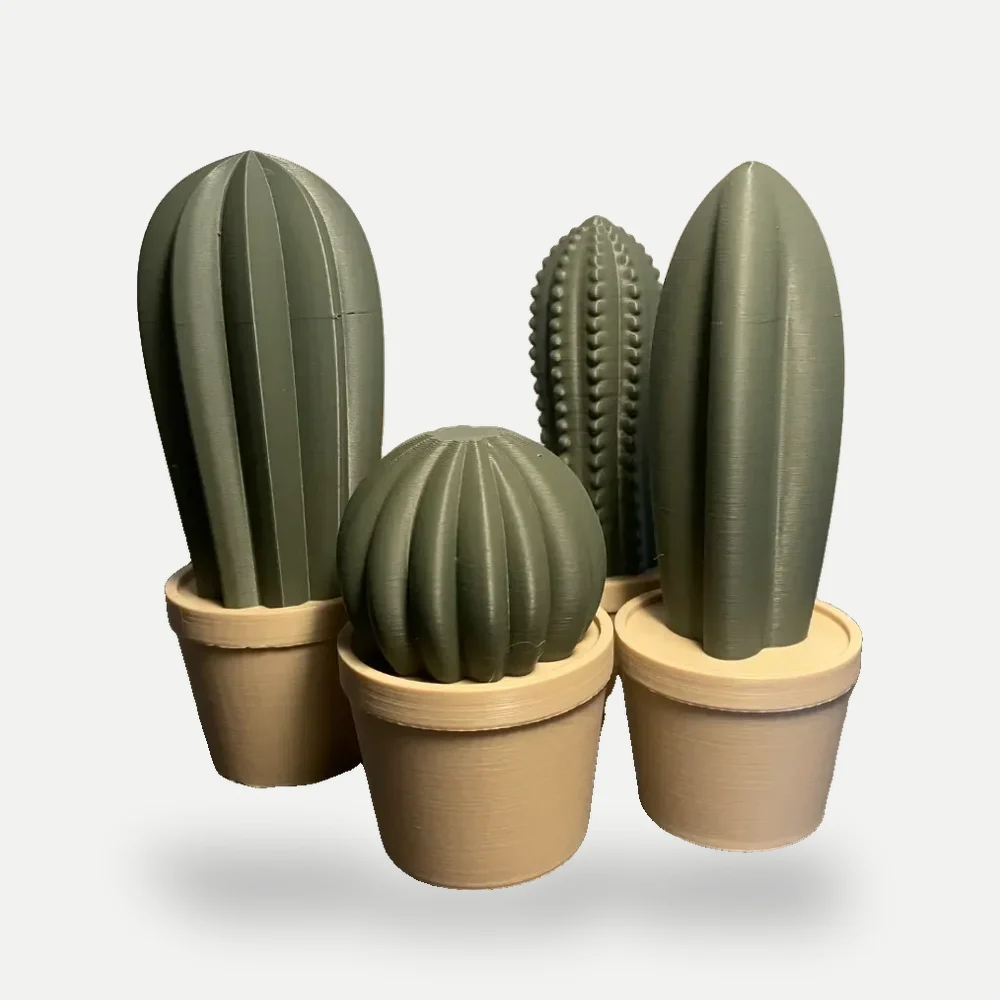Cactos de mesa